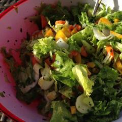 Vydatné a křupavý salát - salát, čekanka, mrkev, žlutá paprika, okurka, avokádo, citron, bazalka a pažitka