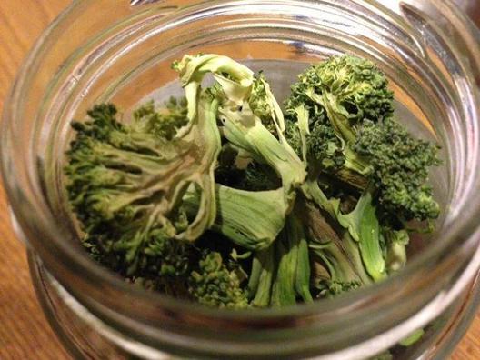 Můj neuvěřitelně dobrý dehydrovaný brokolice. I jim tu a tam líbí.